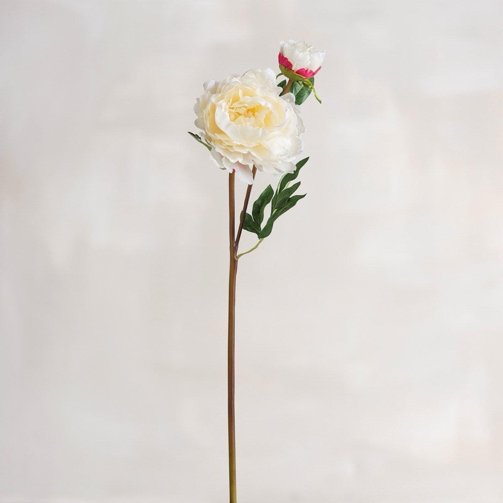 Cream Peony - Long Stem Pick